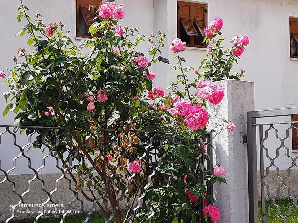 B&B Anna Rovere della Luna Exterior foto